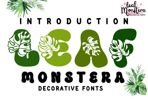 Leaf Monstera Review