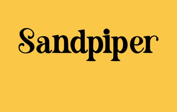 Sandpiper Font for Business